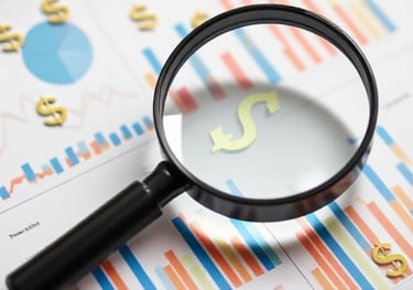 Imagine a magnifying glass hovering over charts and graphs, with little dollar signs sprinkled aroun