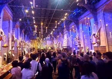 harry potter biletleri