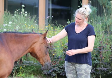 bruin paardenhoofd dat geaaid wordt door een blonde vrouw in een legerbroek met een blauw shirt