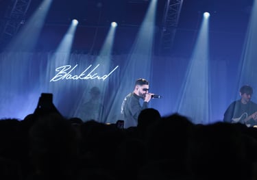 Concert de BB Jacques au MeM à Rennes