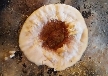 Medzio grybo Trobagrybio naikinimas, grybo valymas, medzio grybo naikinimo paslaugos