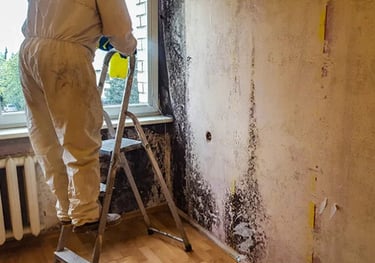 Pelesio naikinimo imone, pelesio valymo imone, pelesio salinimo imone, pelesio naikinimo paslaugos