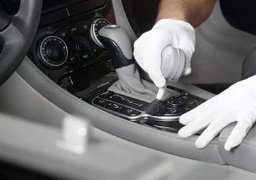 Pelėsio naikinimas iš automobilio salono