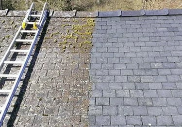 Samanu valymas, samanu naikinims , samanu naikinimas is akamenu, plytu, sienu, fasadu, trinkeliu