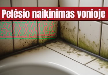 pelėsio šalinimas vonios kambaryje, pelėsio valymas nuo plytelių siūlių, pelėsio naikinimas vonios
