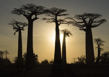 Viaggi in Africa fai-da-te