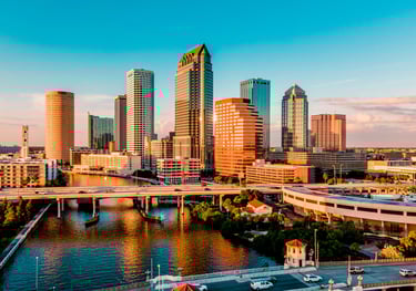 Tampa mobile car detailing