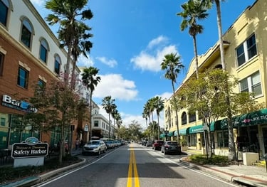 Safety Harbor mobile car detailing