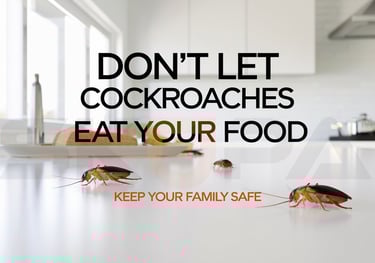 Cockroach and Ants Control Services in Mumbai – Skupa Pest Control’s Safe and Effective Pest Solutio