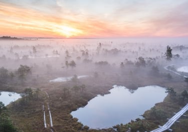 Kemeri National Park from Riga