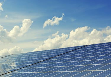 Sustainability consulting with sustainable procurement, zero waste, and sustainability training