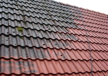 Roofs Potential Health Risks broward county and surrounding cities 