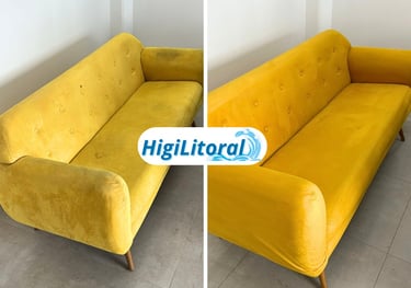 Higienização de Sofá Preço