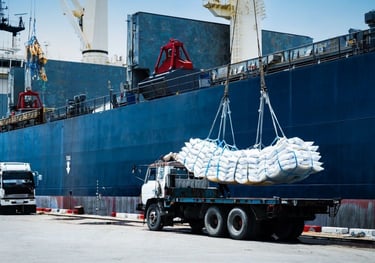 Break Bulk and Project Cargo Handling