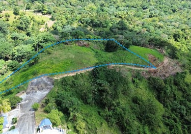 Plots B - Click to enlarge