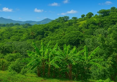 Land for sale Miches