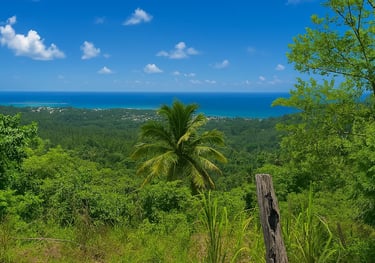 Land for sale Miches