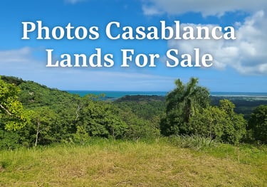 Photos lands for sale Miches
