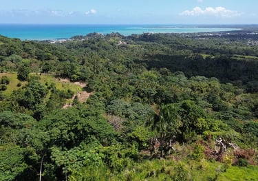 Sea view from plots B - click to enlarge