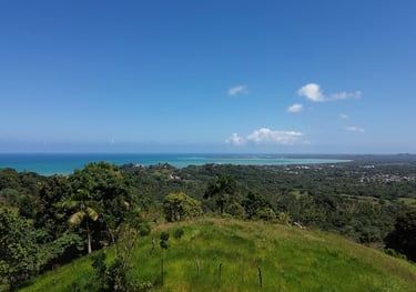 Sea view from plots B - click to enlarge