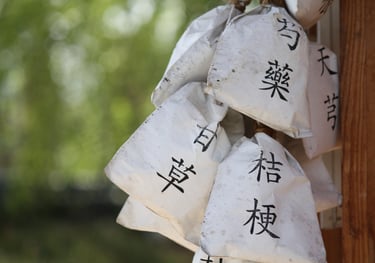 Acupuntura Japonesa en Barcelona