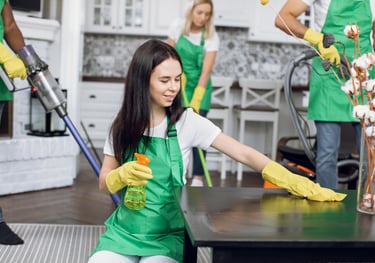 professional cleaning services at work