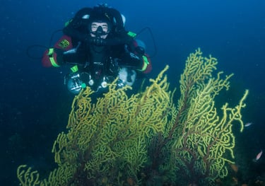 formation eccr libety et ccr sidemount