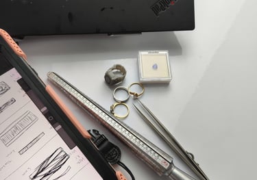 Design meeting / Consultation