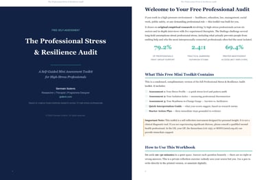 stress audit toolkit