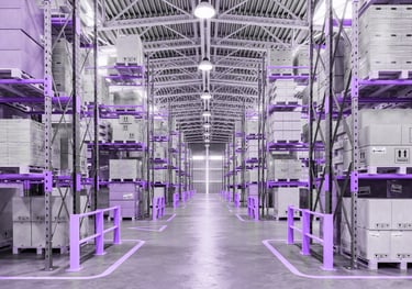 Calificación de almacenes, mapeos térmicos