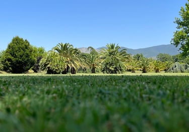 Wedding Tenuta Marcello, botanic Park, Italy