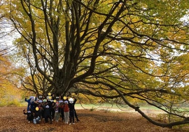 Foto di gruppo di una scuola che fa un'uscita didattica in natura