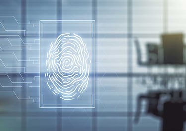 Seguridad Complementaria