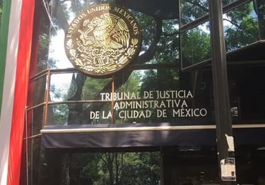 dictamen judicial