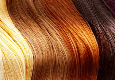 Los Angeles haircolor specialist 