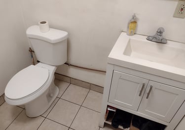 Clean toilet and floor