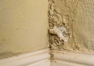 Daño de humedad