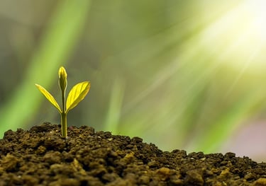 ISO 14001 - Σύστημα Περιβαλλοντικής Διαχείρισης