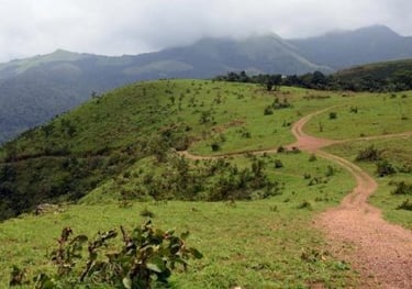 Muneeswaran Mudi Peak, Mananthavady