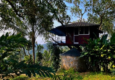 TREE HOUSE and BATH