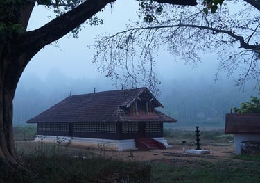 Valliyoor Kaavu Temple Manathavady