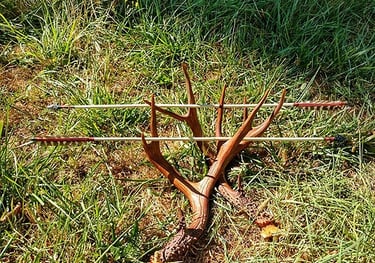 arrows