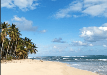 Nestle Sahyadri Beachfront Homestay Murdeshwar