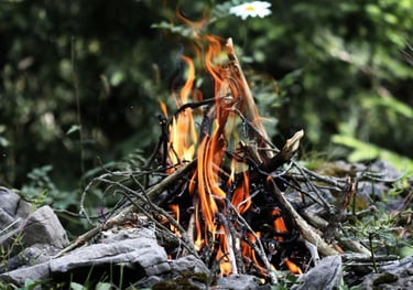 How to start and build a fire.