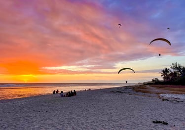 Plusieurs parapentistes atterrissent sur la plage et volent au dessus de l'océan