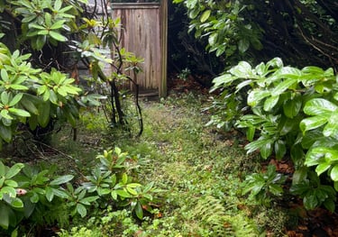 Weeded Landsacpe