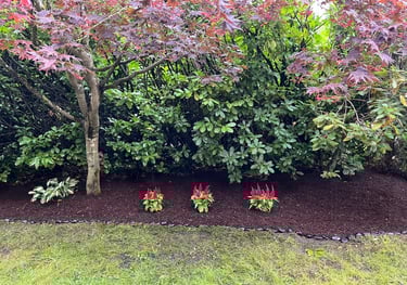 Clean Landscape