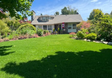 Front Yard Sod