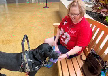 A mobility service dog wearing a balance harness delivers a cell phone to his partner's hand