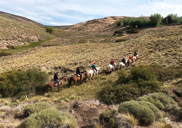 A group of people on horseback riding in a line.